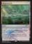 Blighted Fen (FNM)