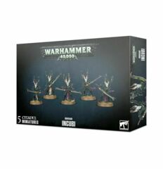 (45-40) Dark Eldar Incubi