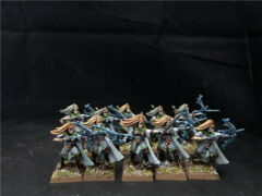 Sisters of the Watch