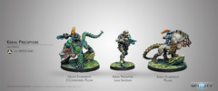 (280925) Kerail Preceptors (3) BOX