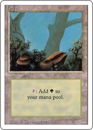 Forest   (Branch)