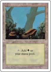 Forest   (Branch)