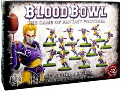(200-36) The Elfheim Eagles - Elven Union Blood Bowl Team