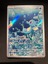 Horsea - 067/064 - Illustration Rare