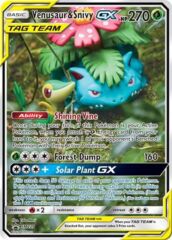 Venusaur & Snivy GX - SM229 - Alternate Art Promo