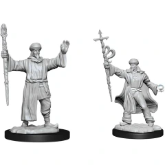 Human Wizard Staff