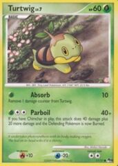 Turtwig - 17/17 - Common