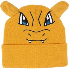 Tuque Charizard