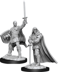 Human Paladin Two-handed Sword Down