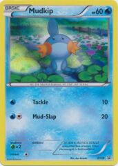 Mudkip - XY38 - Holo Promo