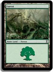 Forest (300) - Foil