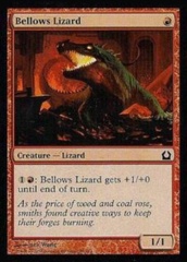 Bellows Lizard