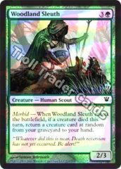 Woodland Sleuth - Foil