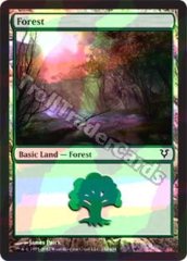 Forest (242) - Foil