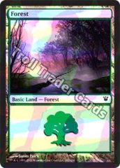 Forest (262) - Foil