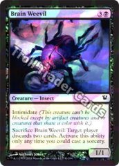 Brain Weevil - Foil