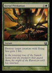 Aerial Predation