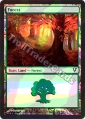 Forest (243) - Foil