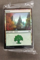 Ravnica Allegiance Land Pack (80) 5 Foils