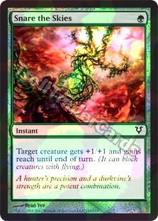 Snare the Skies - Foil
