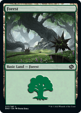 Forest (277)