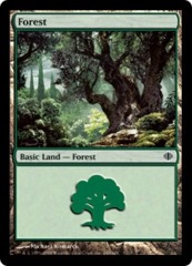 20 Basic Forest