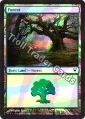 Forest (264) - Foil