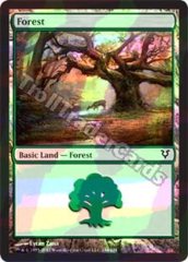 Forest (244) - Foil