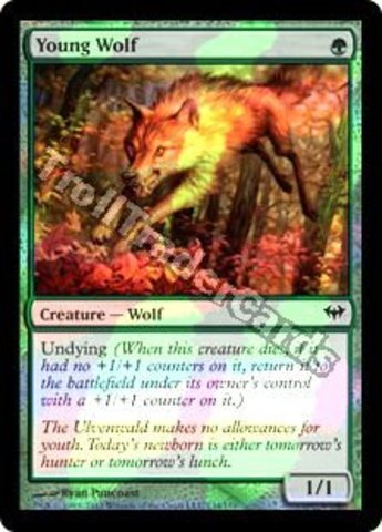 Young Wolf - Foil