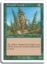 Redwood Treefolk
