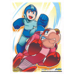 Dragon Shield Mega Man & Rush Sleeves