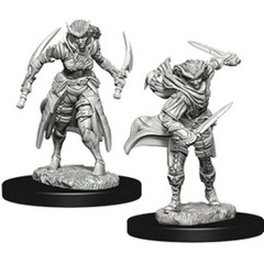 D&D Nolzur's Marvelous Miniatures - Tiefling Rogue (Female) (73339)