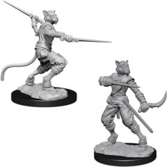 D&D Nolzur's Marvelous Miniatures: Tabaxi Rogue (Male) (73540)