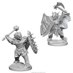 D&D Nolzur's Marvelous Miniatures: Dragonborn Paladin (Male) (73200)