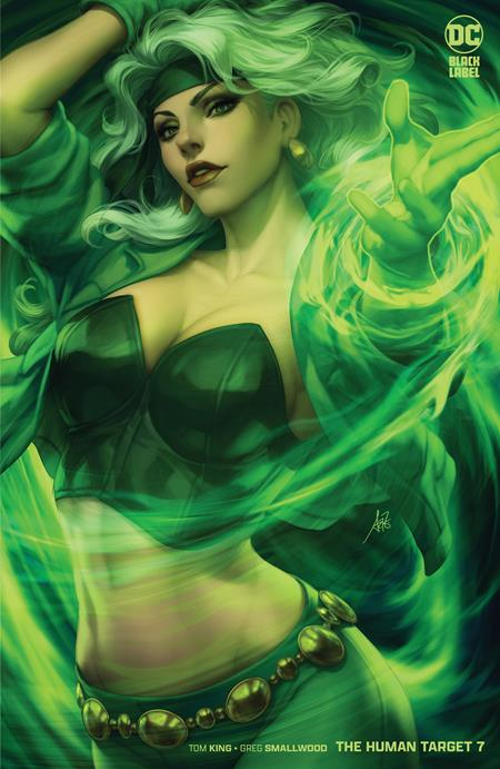 Human Target #7B (of 12) Stanley Artgerm Lau