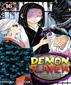 Demon Slayer Vol 16