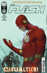 Flash #795A
