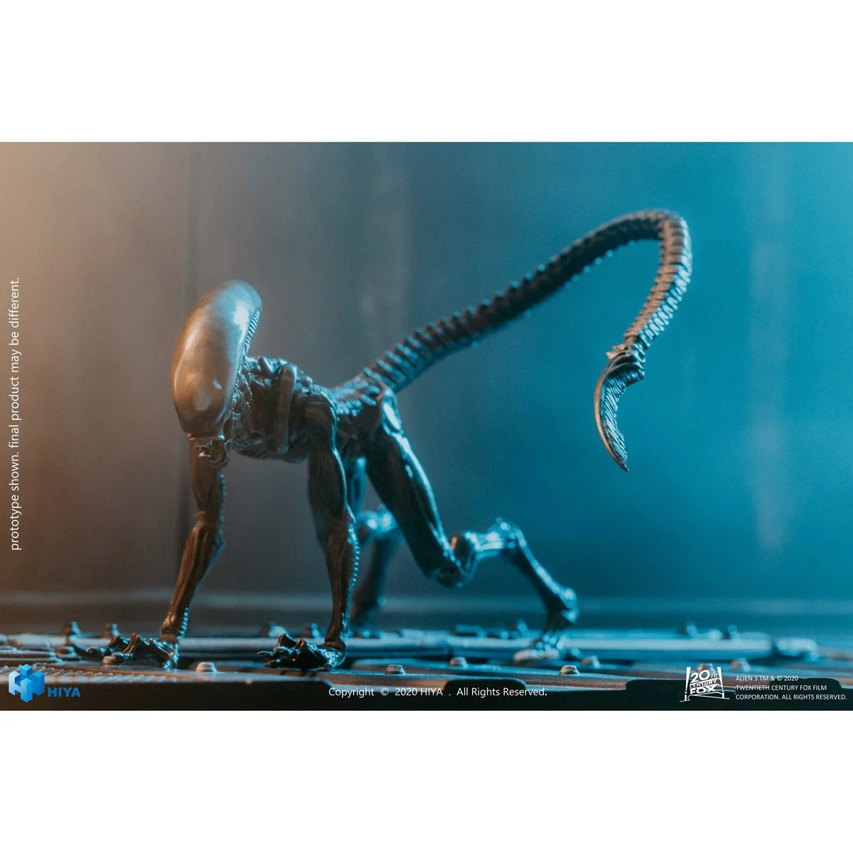 Alien 3 Dog Alien Look Up