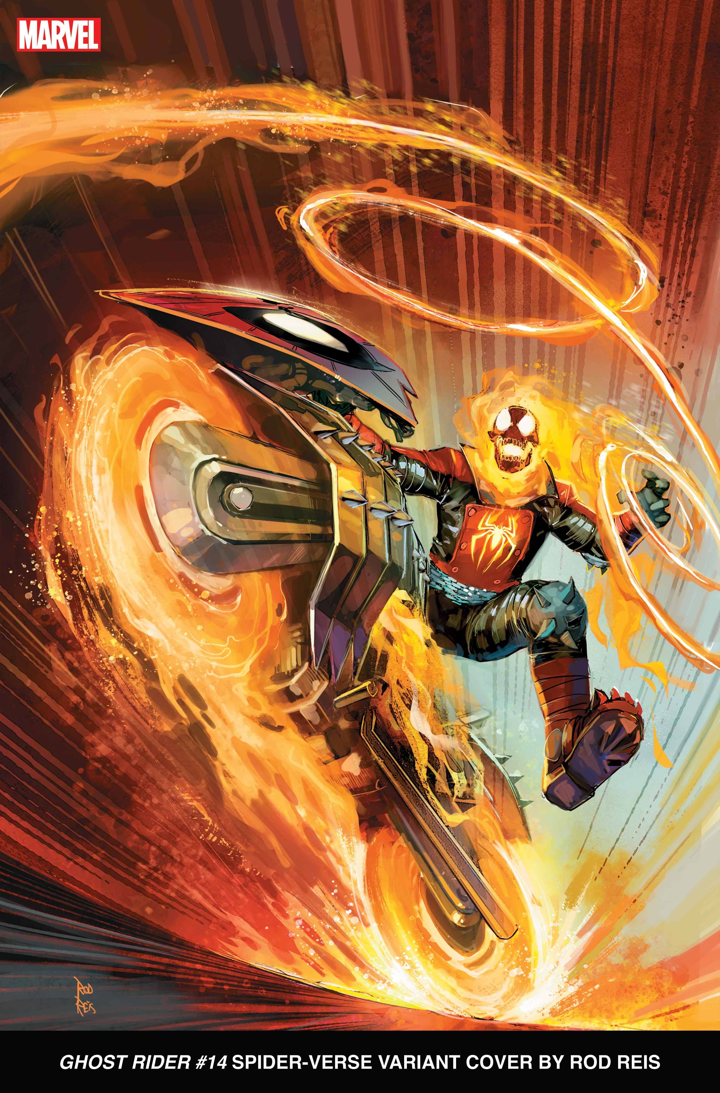 Ghost Rider #14C Reis Variant
