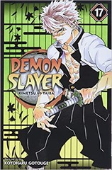 Demon Slayer #17