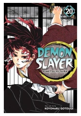 Demon Slayer Vol 20