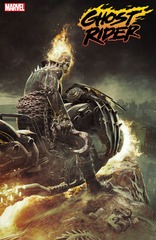 Ghost Rider #6B Barends Variant