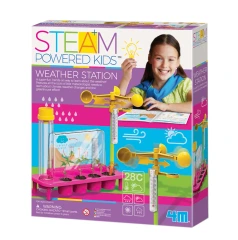 STEAM WEATHER STATION