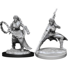 D&D Nolzur's Marvelous Unpainted Miniatures: W14 Human Monk (Female)