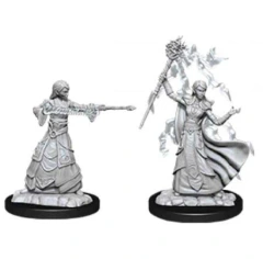 Nolzur's Marvelous Miniatures Elf Wizard (Female)