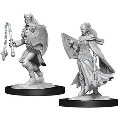 D&D Nolzur's Marvelous Unpainted Miniatures: W14 Kalashtar Cleric