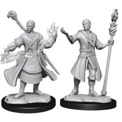 D&D Nolzur's Marvelous Unpainted Miniatures: W14 Half-Elf Wizard (Male)
