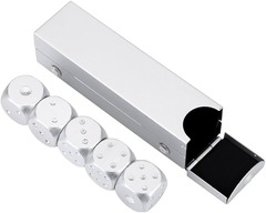 Aluminum Metal 6 side Dice 5 count w/ case