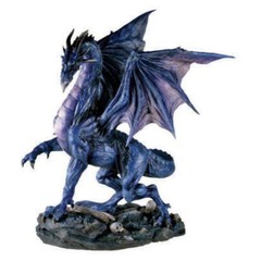 Midnight Dragon Y7041