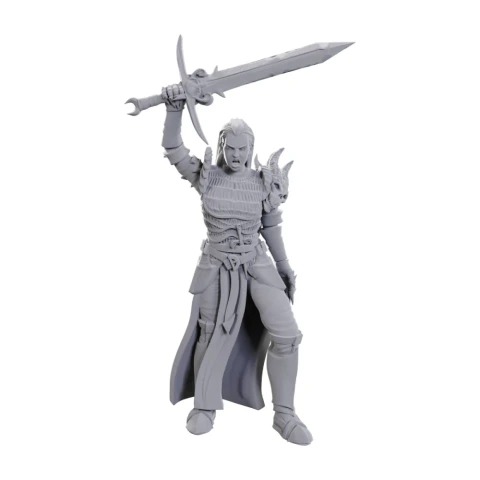 D&D Nolzurs Marvelous Miniatures: W25 Blackguard